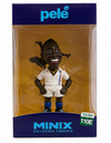 MINIX Pelé 110E