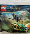 Lego Harry Potter - Treino de Quidditch (30651)